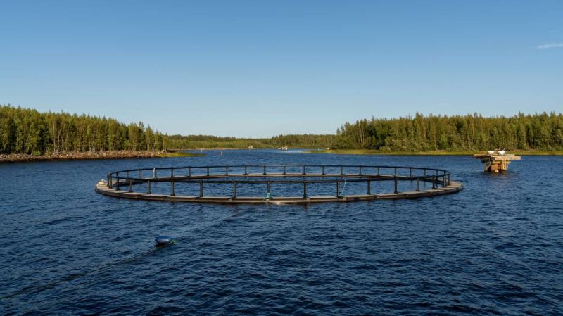 A fish farm off the coast in Finland